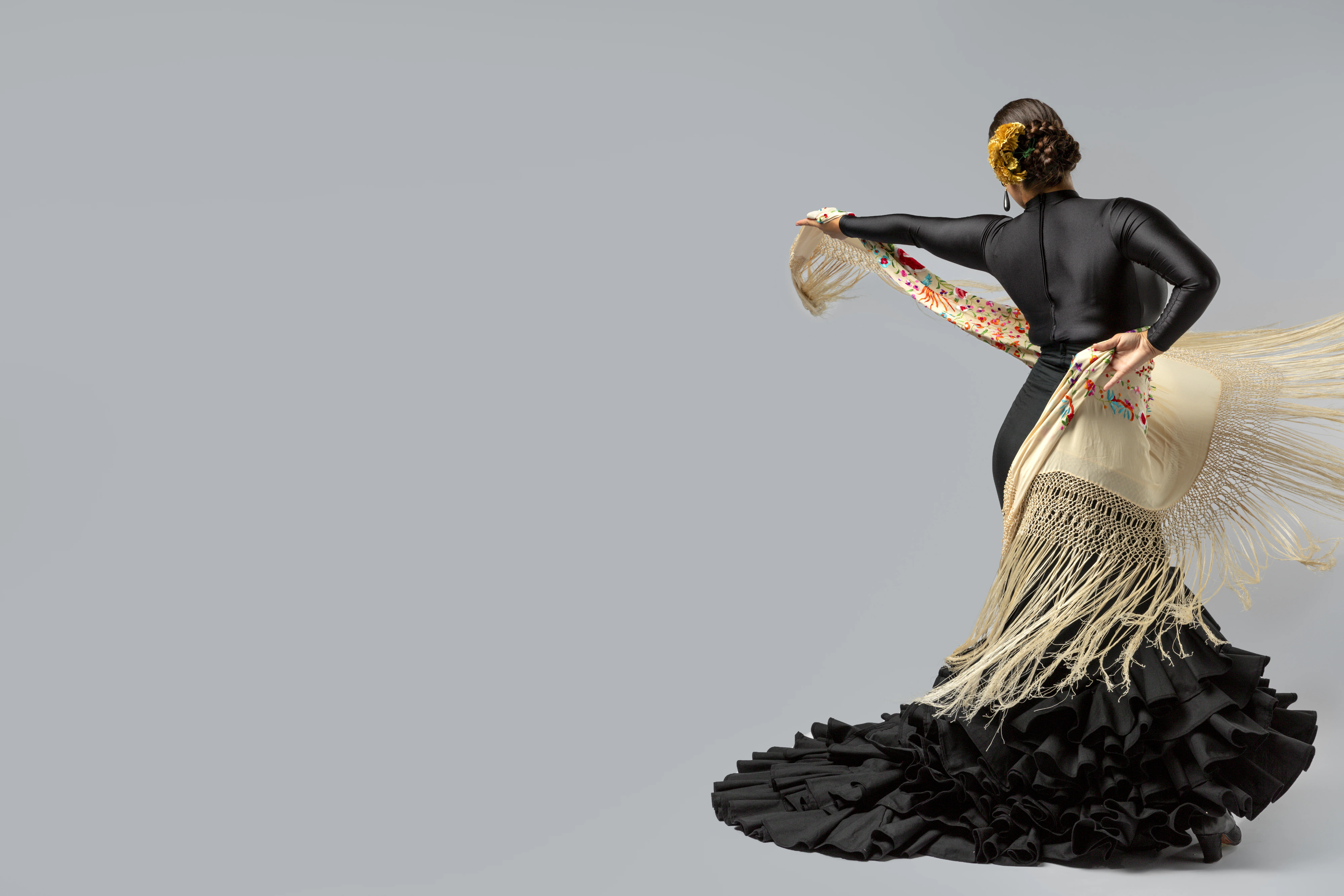 Bailaora flamenco